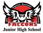 reduced-smbsd-falcons
